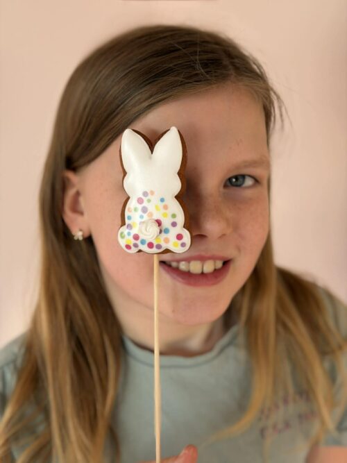 Meduolis - Margas zuikutis ant pagaliuko